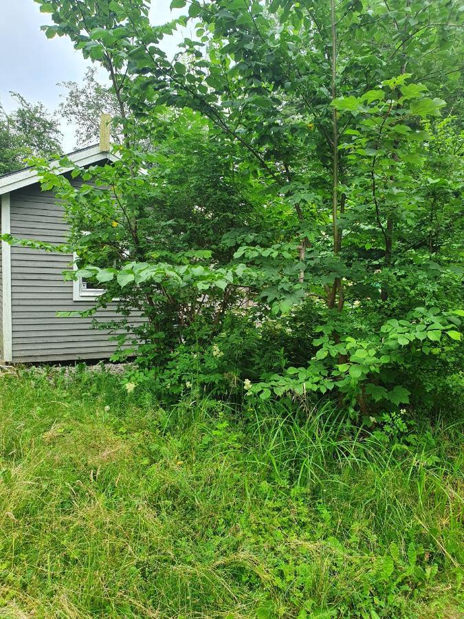 Skogsbäckens stugby AB Villa Tomelilla Eksteriør billede